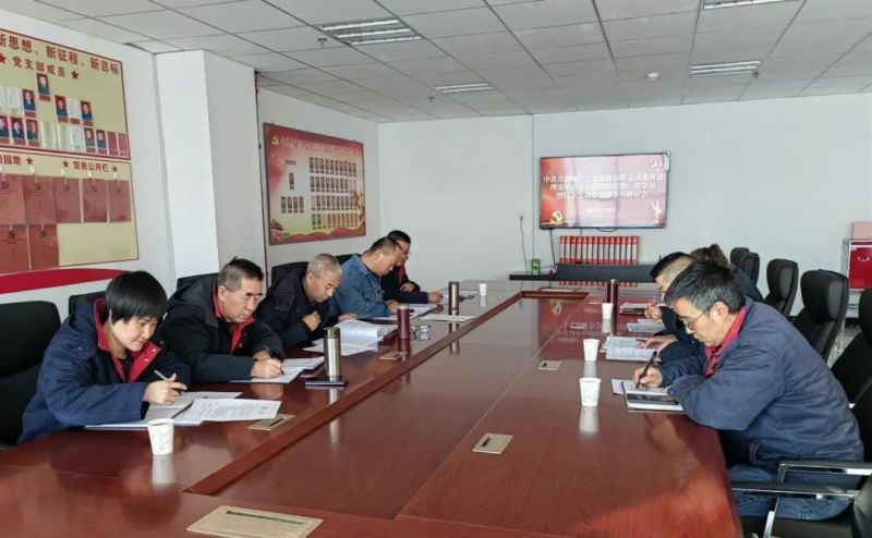 8040WWW威尼斯工投公司党委召开理论学习中心组2025年第一次学习暨民主生涯会会前学习钻研会
