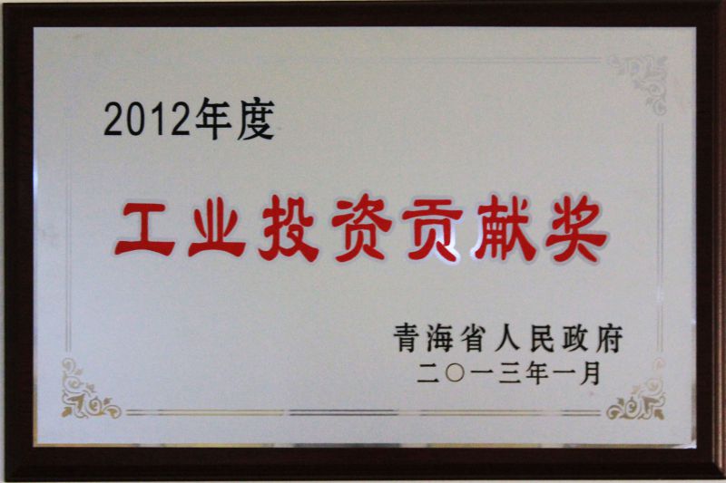 2012年度工业投资孝顺