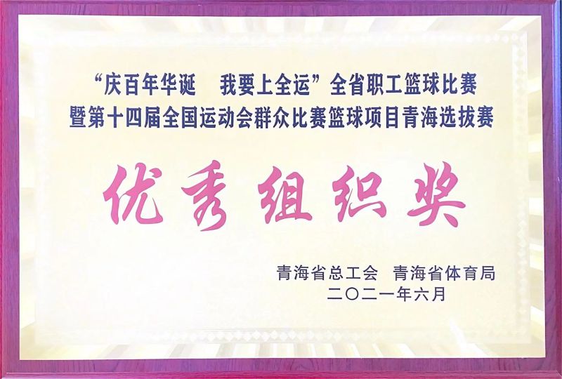 优异组织奖