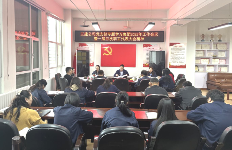 深学笃行展新姿 凝心聚力启新程——三建公司党支部专题学习钻研集团“两会”精神