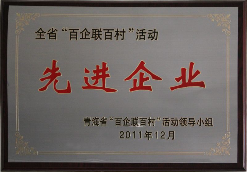 “百企联百村运动”先进企业