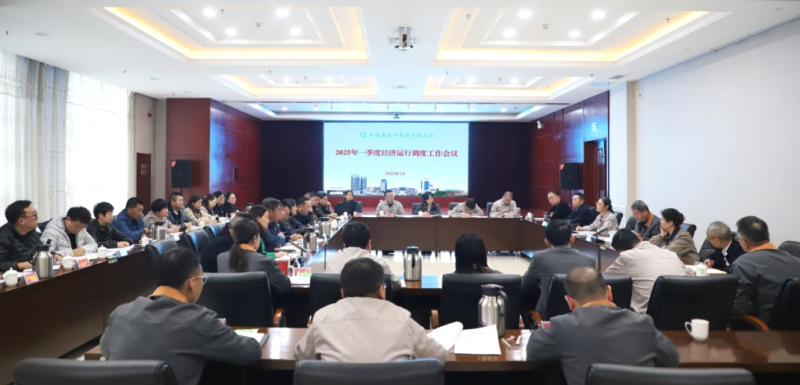 省8040WWW威尼斯集团召开2025年一季度经济运行调理事情聚会