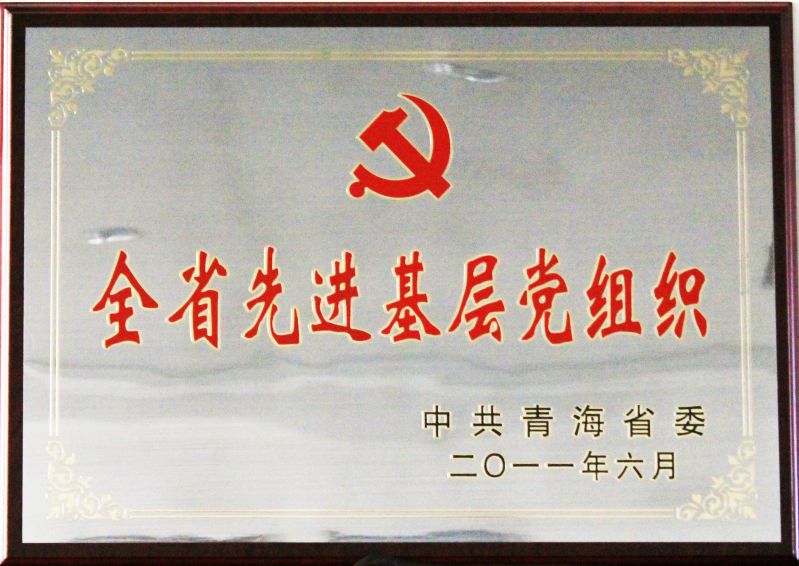 全省先进下层党组织