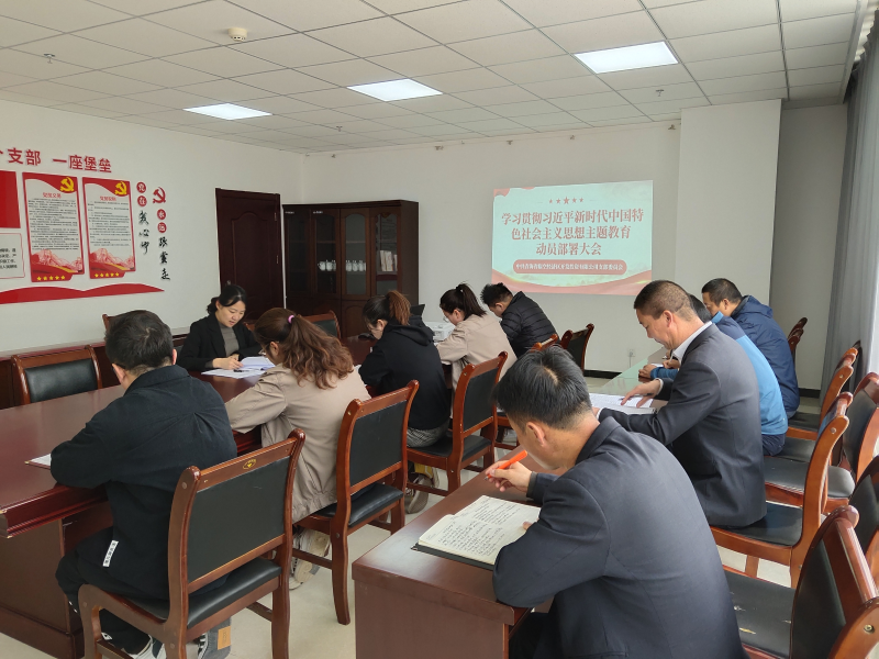 中共青海省临空经济区开发投资有限公司支部委员会召开学习贯彻习近平新时代中国特色社会主义头脑 主题教育发动安排聚会