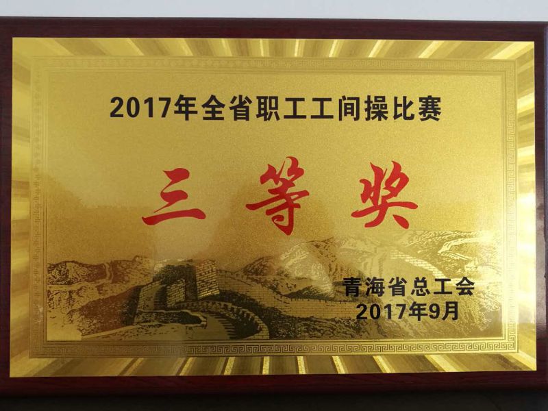 2017年全省职工工间操角逐三等奖