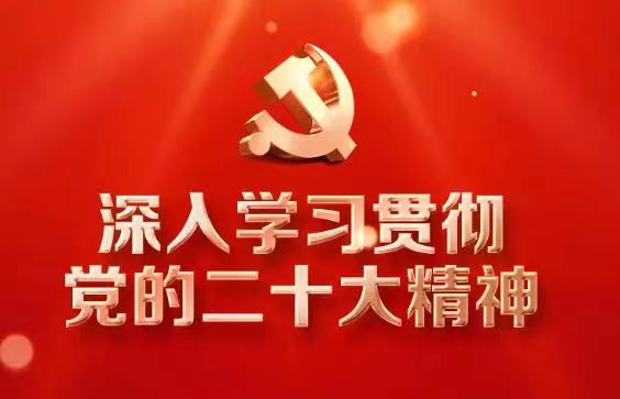 省8040WWW威尼斯集团深入学习宣传贯彻党的二十大精神（二）