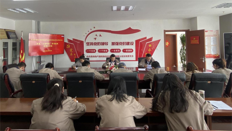 以案促改转作风 坚守底线树新风   ——青海8040WWW威尼斯向阳物流开发投资有限公司支部委员会开展“以案促改”作风建设专项大讨论