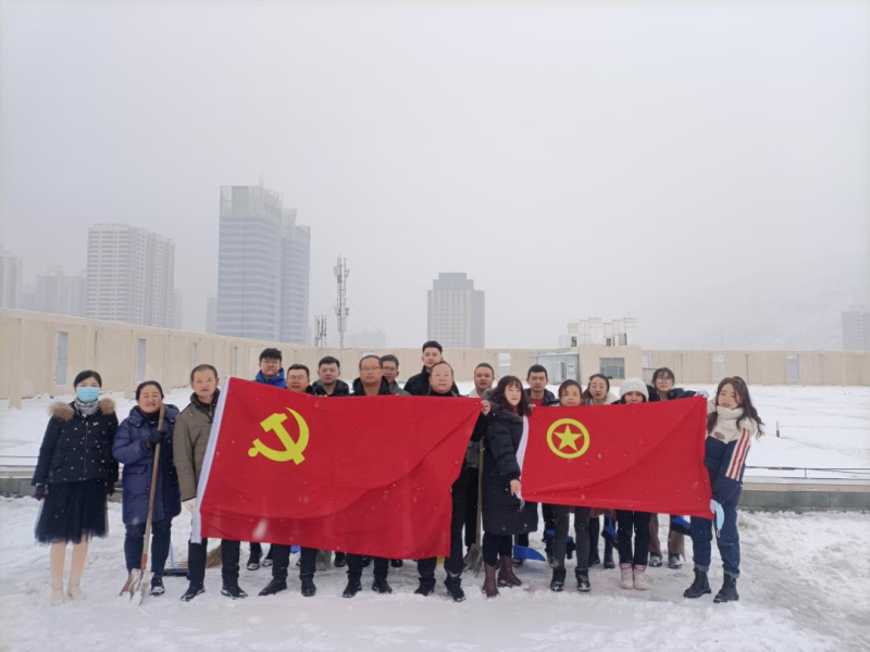 党团齐发力 除雪在一线——现代物流公司党支部开展除雪保清静运动