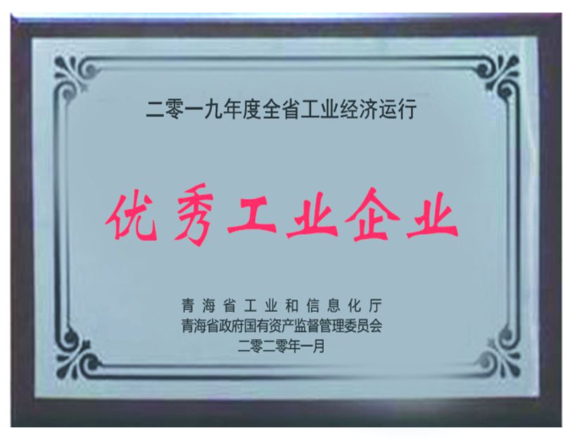 2019年度优异工业企业