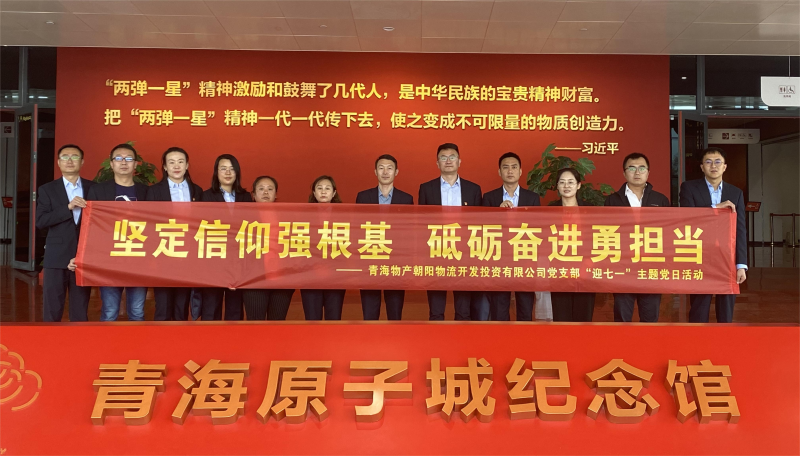 坚定信仰强基本，砥砺奋进勇继续 朝物开投公司党支部开展迎“七一”主题党日运动