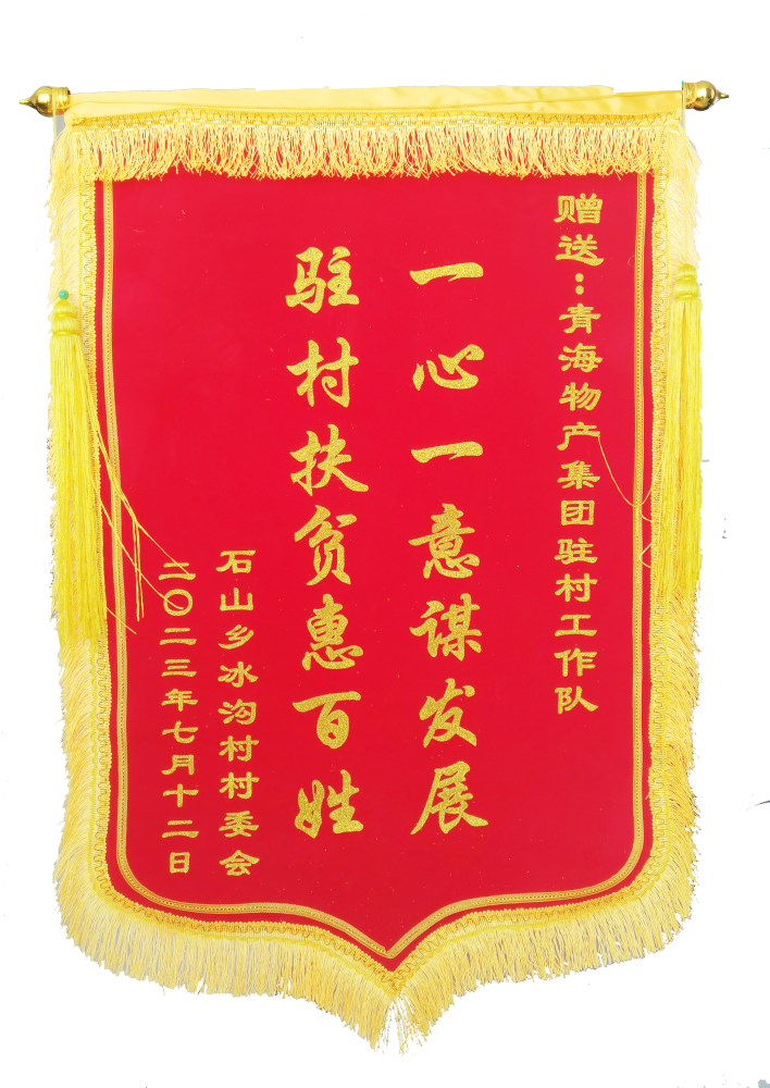 驻村帮扶惠黎民 情满冰沟暖人心 ——省8040WWW威尼斯集团驻村事情队期满离任获赠锦旗