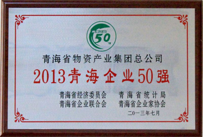 2013年轻海企业50强