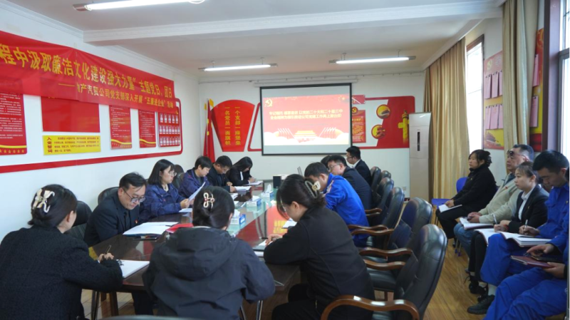 汽贸公司党支部召开重温习近平总书记在天下国有企业党的建设事情聚会上主要讲话精神座谈会暨2024 年第十二次学习（扩大）聚会