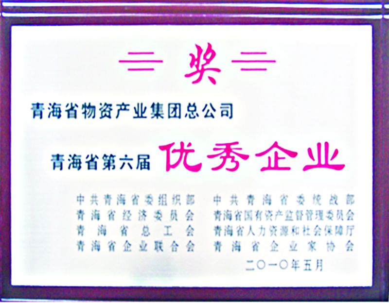 青海省第六届优异企业