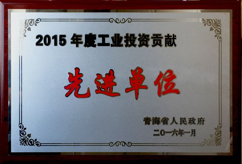 2015年度工业投资孝顺先进单位