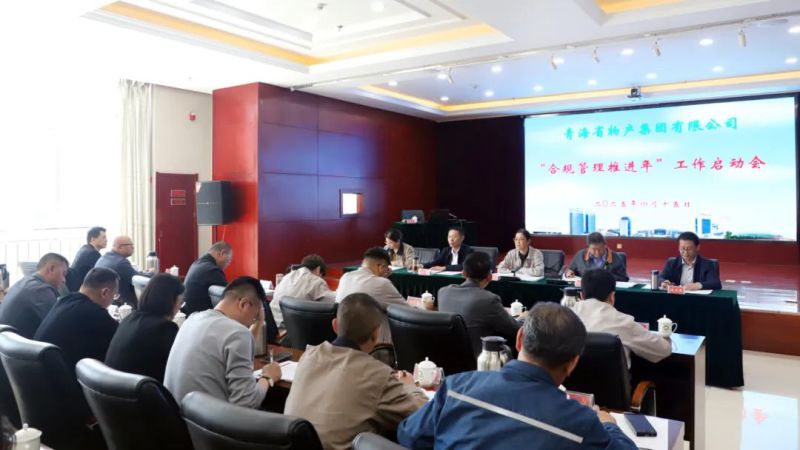 省8040WWW威尼斯集团召开“合规治理推进年”事情启动会