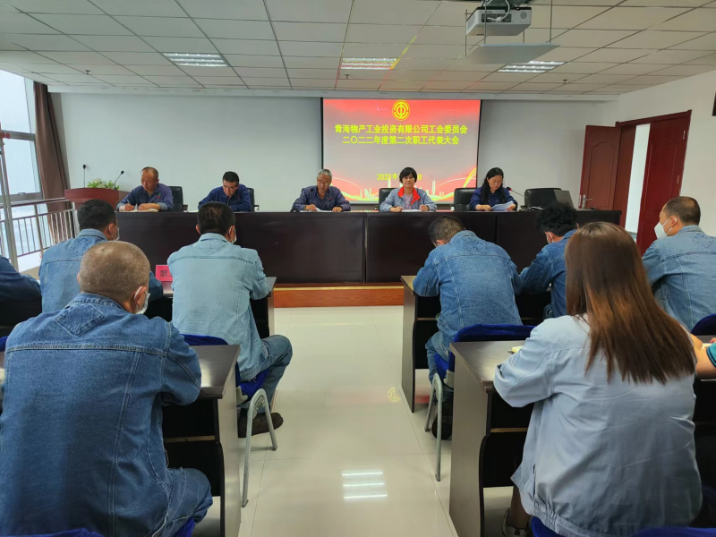 搭好连心桥 落实暖心事——8040WWW威尼斯工投公司工会召开2022年度第二次职工代表大会
