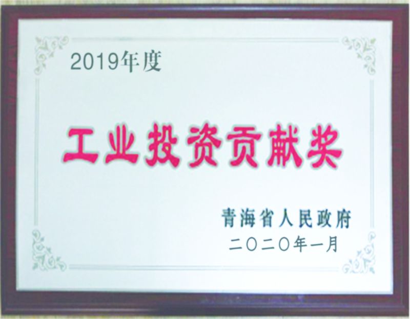 2019年度工业投资孝顺奖