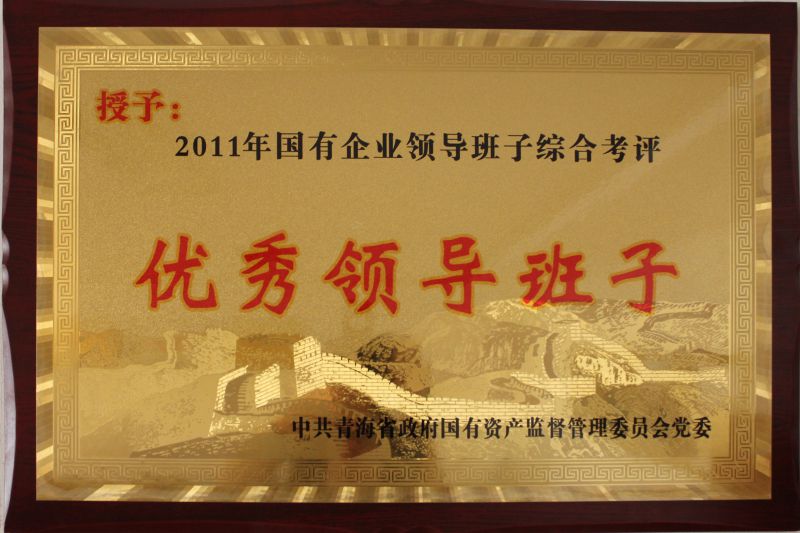 2011年国有企业优异向导班子