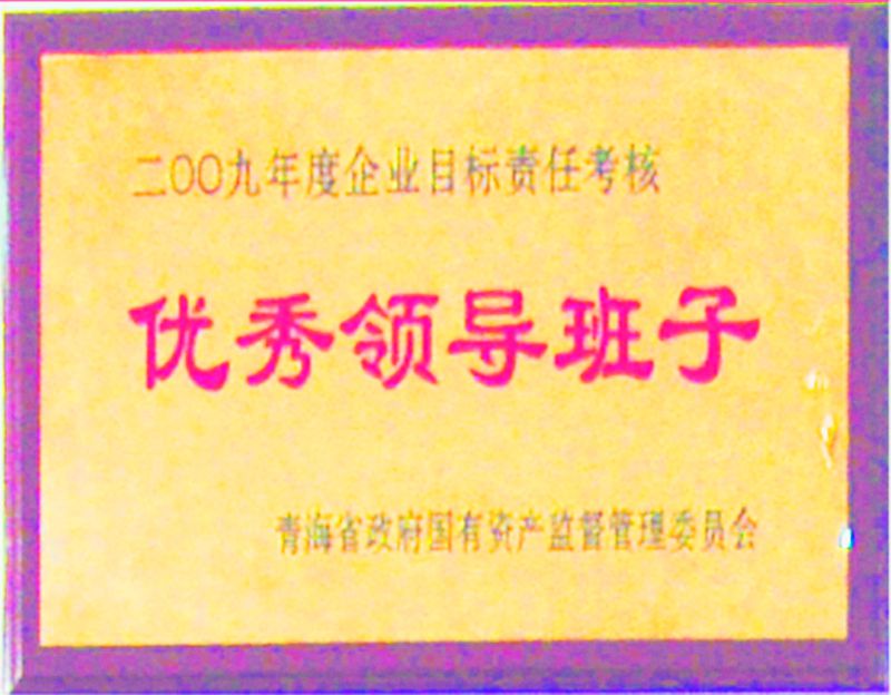 2009年度优异向导班子