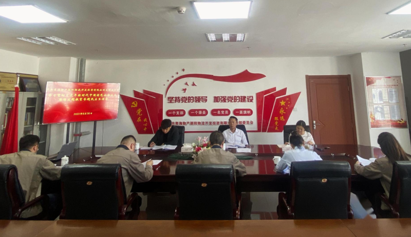 朝物开投公司党支部召开学习贯彻习近平新时代中国特色社会主义头脑主题教育专题民主生涯会