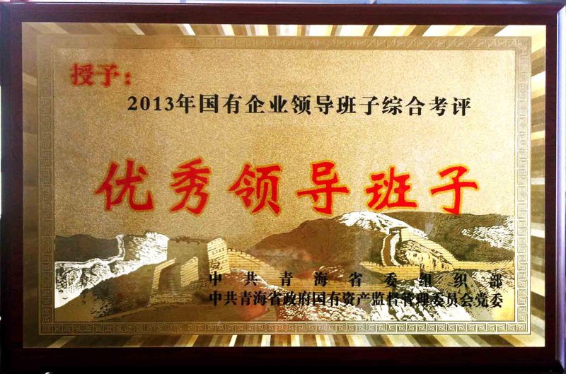 2013年度优异向导班子
