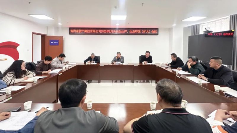 集团召开2025年2月份清静生产、生态环保（扩大）聚会