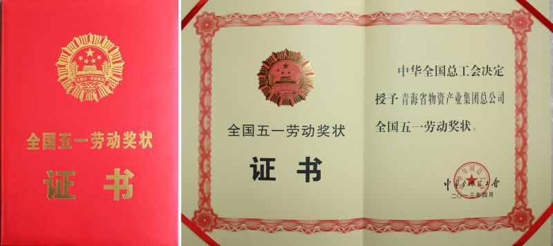 2013年天下五一劳动奖状证书