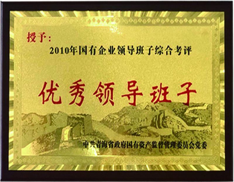 2010国有企业优异向导班子