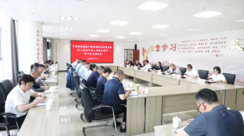 集团党委召开深入贯彻中央八项划定精神学习教育推进会