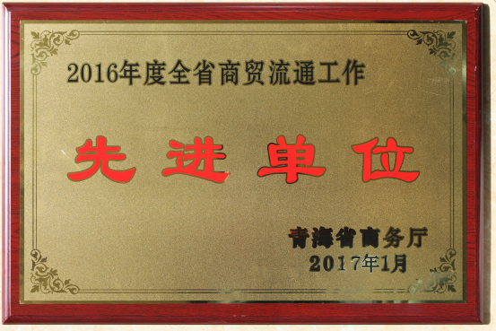临空开投公司荣获2016年度全省商贸流通事情先进单位