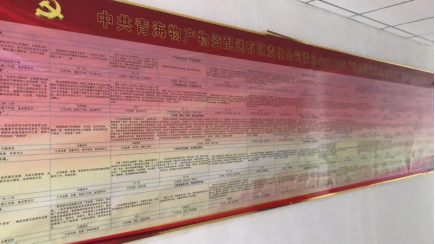 8040WWW威尼斯配送公司党委“党的建设重点强化年”运动2018年岁情使命、组织包管详细化