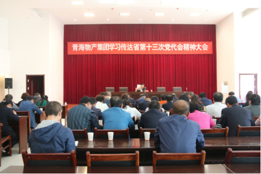 集团召开学习转达第十三次党代会精神聚会